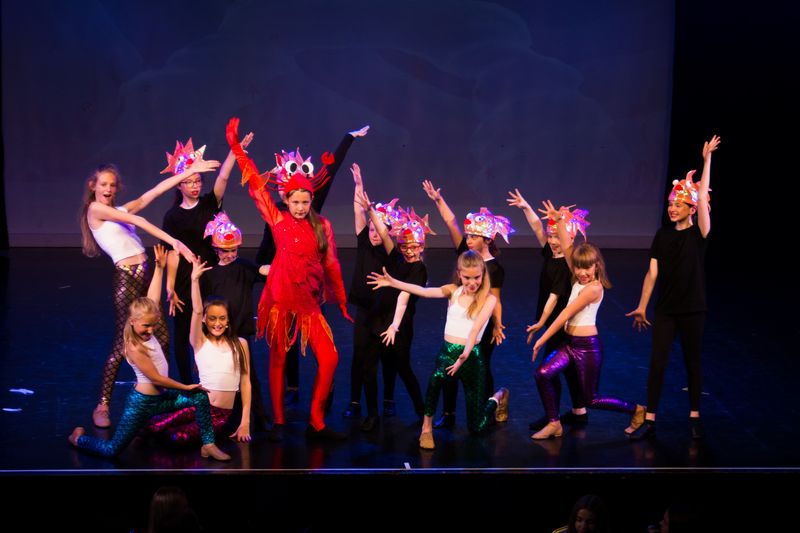 News from Bishops Stortford Academy of Performing Arts. Commercial, Hip Hop, Jazz, Street Dancing and West End Theatre Productions at Rhodes Arts Complex